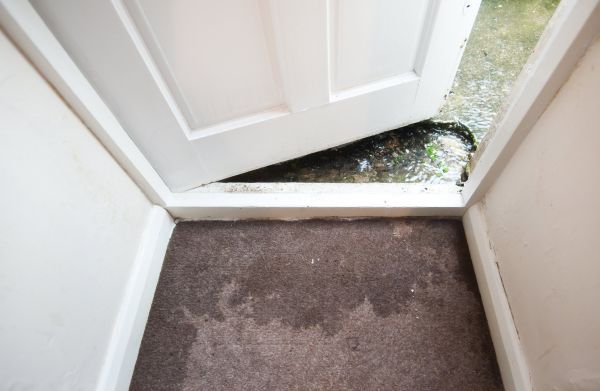 Wet Carpet Restoration in Los Angeles