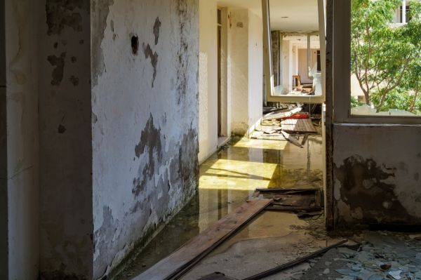 Cost of Water Removal Service in Los Angeles