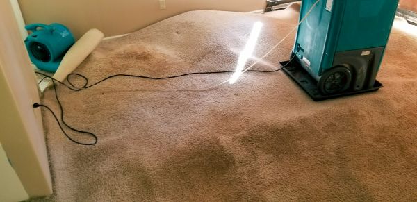 Carpet Water Extraction in Los Angeles
