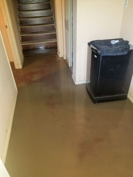 Emergency Water Removal in Los Angeles
